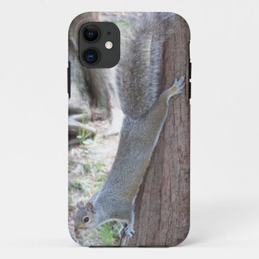 Squirrel iPhone 5 coque (Dos)
