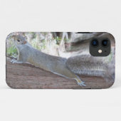 Squirrel iPhone 5 coque (Dos (Horizontal))