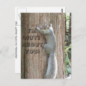 Squirrel : Je suis Noix à ton sujet ! Carte postal (Devant / Derrière)