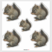 Squirrel Kitten Stickers (Vel)