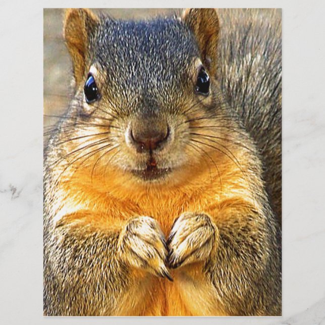Squirrel Love_ (Voorkant)