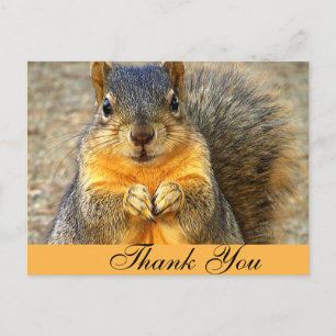 Squirrel Love_ Briefkaart