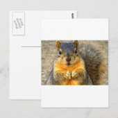 Squirrel Love_ Briefkaart (Voorkant / Achterkant)