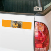 Squirrel Love_ Bumpersticker (Op Truck)