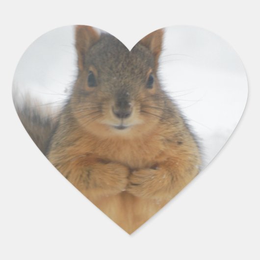 Squirrel Love Hart Sticker (Voorkant)