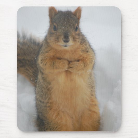 Squirrel Love Muismat (Voorkant)