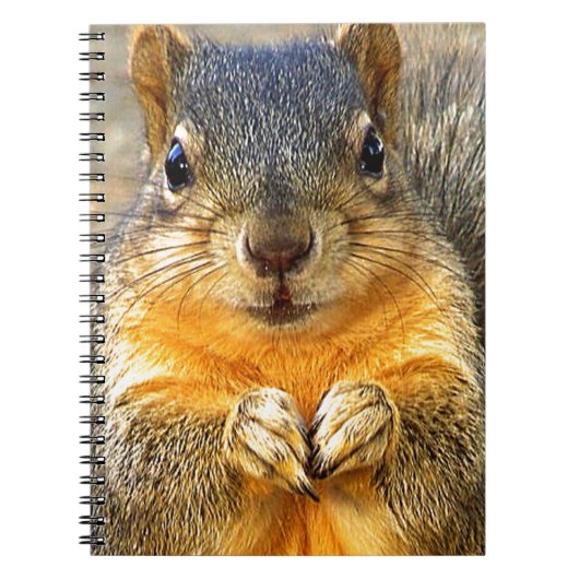 Squirrel Love_ Notitieboek (Voorkant)