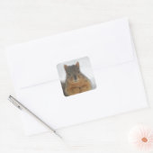 Squirrel Love Vierkante Sticker (Envelop)