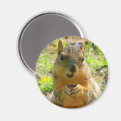 Squirrel Magnet Magneet (Voorkant / Achterkant)