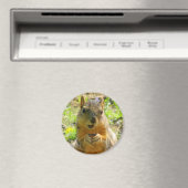 Squirrel Magnet Magneet (Insitu (Vaatwasser))