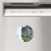 Squirrel Magnet Magneet (Insitu (Vaatwasser))
