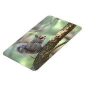 Squirrel Magnet Magneet (Linkerzijde)