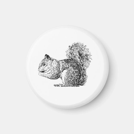 Squirrel Magnet Magneet (Voorkant)