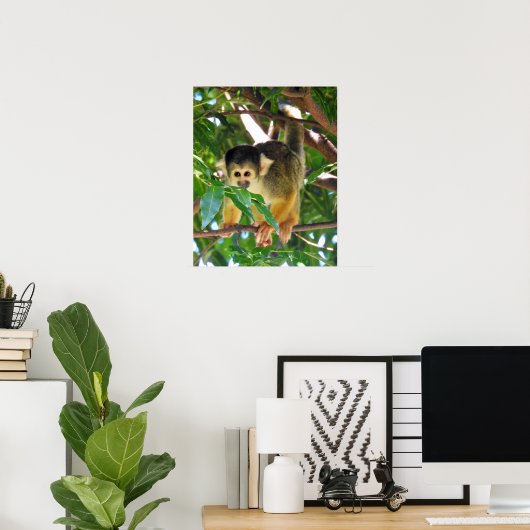 Squirrel Monkey Poster (Thuiskantoor)