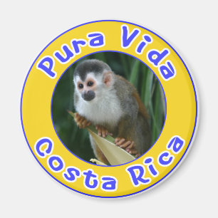 Squirrel Monkey, Pura Vida, Costa Rica Magneet