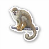 Squirrel Monkey Sticker (Voorkant)