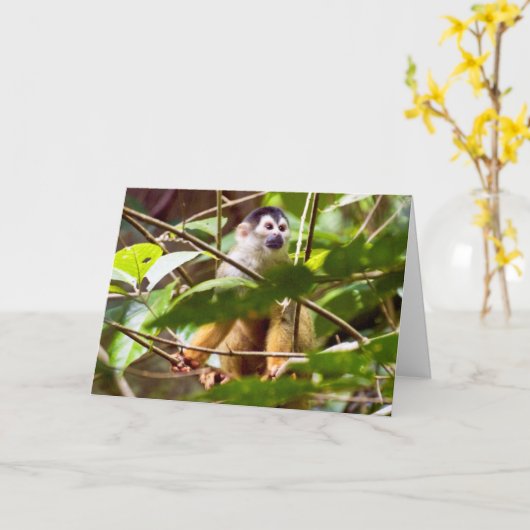 Squirrel Monkey Wenskaart Kaart (Gele Bloem)