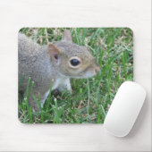 Squirrel Mousepad, met "Clicker" Muismat (Met muis)