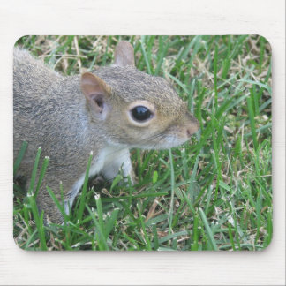 Squirrel Mousepad, met "Clicker" Muismat