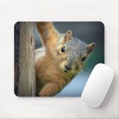 Squirrel Mousepad Muismat (Met muis)
