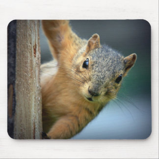 Squirrel Mousepad Muismat
