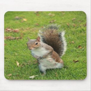 Squirrel Mousepad Muismat