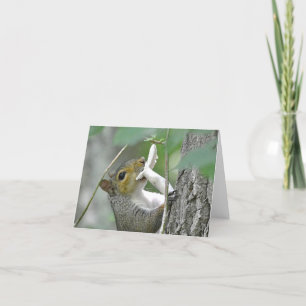 Squirrel Notecard Kaart