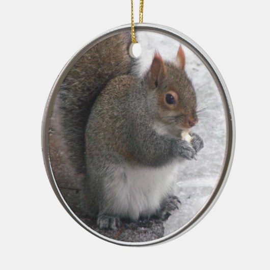 Squirrel Ornament (Links)