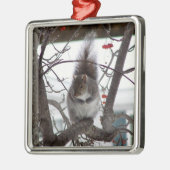Squirrel Ornament (Links)