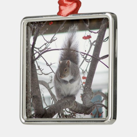 Squirrel Ornament (Links)