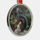 Squirrel Ornament (Rechts)