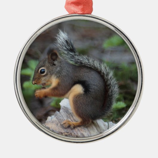 Squirrel Ornament (Voorkant)