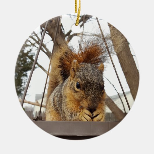 Squirrel Ornament (Voorkant)