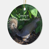 Squirrel Ornament (Links)