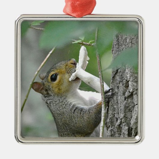 Squirrel Ornament (Voorkant)