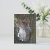 Squirrel Portrait Briefkaart (Staand voorkant)