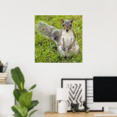 Squirrel Portrait Poster (Thuiskantoor)