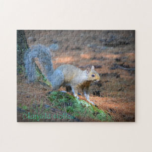 Squirrel Puzzle Legpuzzel