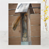 Squirrel Raiding Bird Feeder Kaart (Gele Bloem)