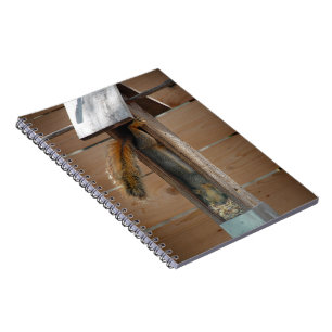 Squirrel Raiding Bird Feeder Notitieboek