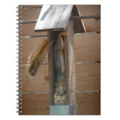 Squirrel Raiding Bird Feeder Notitieboek (Voorkant)
