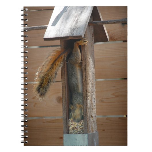 Squirrel Raiding Bird Feeder Notitieboek (Voorkant)