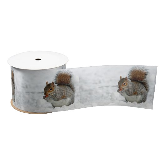Squirrel Red Berry Snow Foto Lint (Spoel)