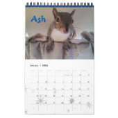 Squirrel Rehab | SquirrellyAF 2020 Wall Calendar Kalender (Jan 2026)