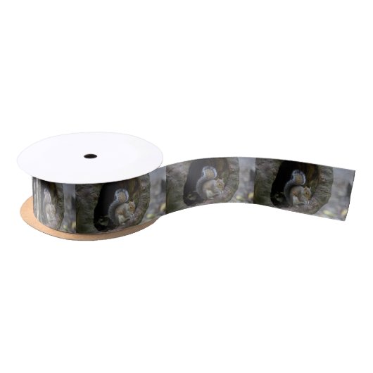 Squirrel Ribbon Lint (Spoel)