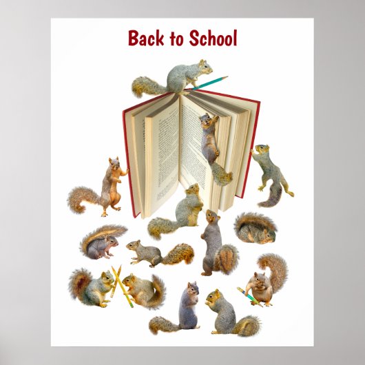 Squirrel School Poster (Voorkant)