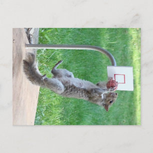 Squirrel Slam Dunk Briefkaart