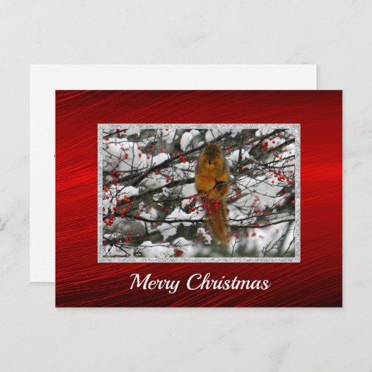 Squirrel Snow Berry Tree - Kerstfeest Briefkaart (Voorkant / Achterkant)
