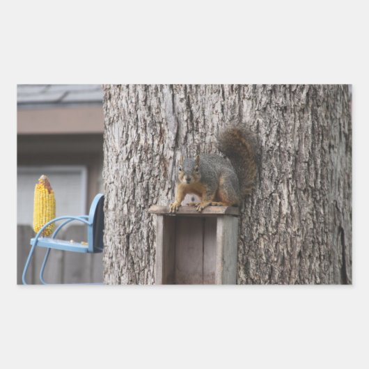 Squirrel Stickers (Voorkant)