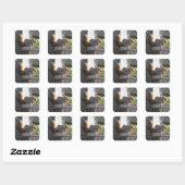 Squirrel Stickers (Vel)